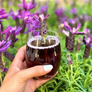 Hand holding Lavender drink in front of lavender