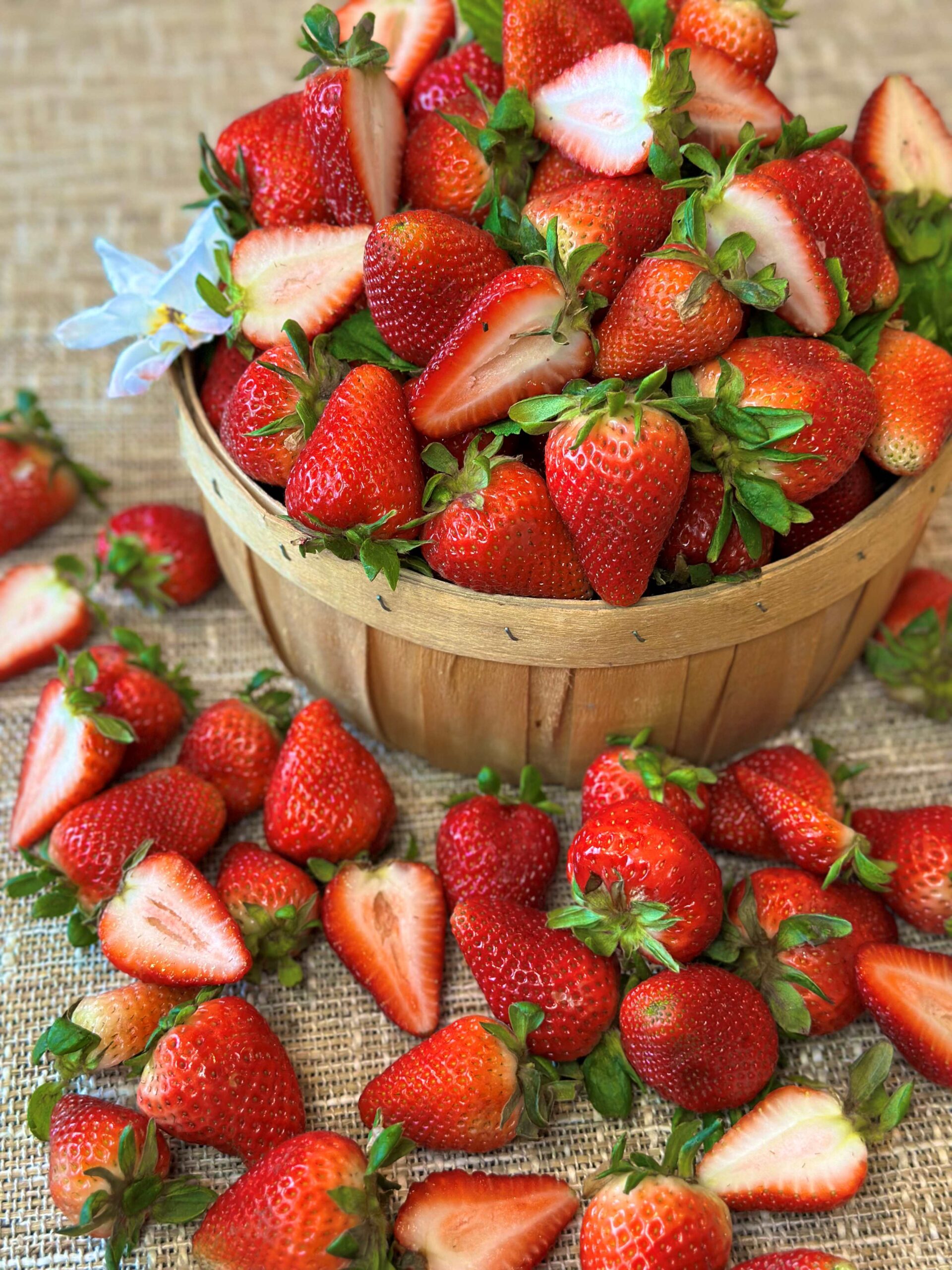 Strawberries in a bucket