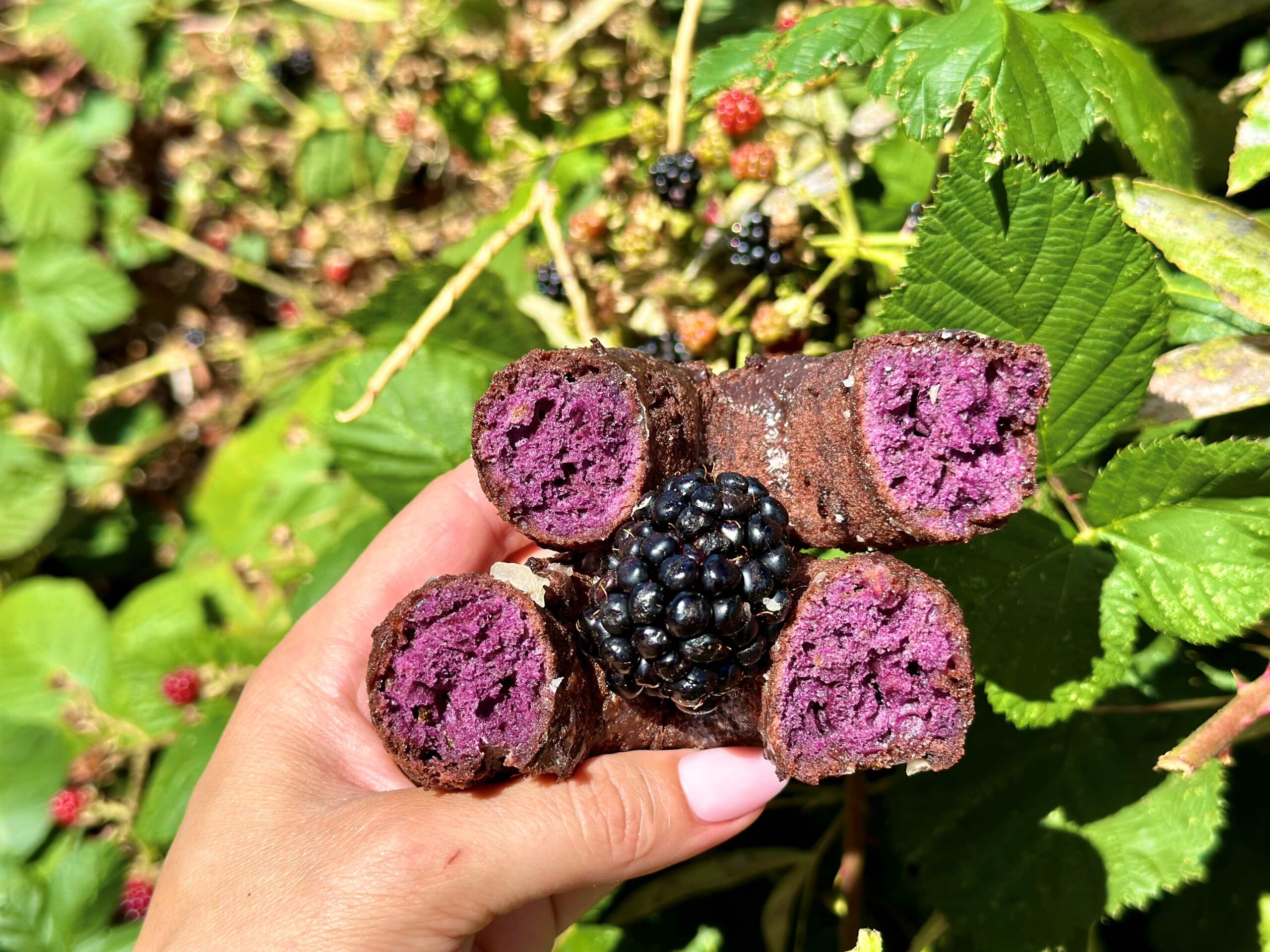 Hand holding two halves of a blackberry donut with a fresh blackberry in between