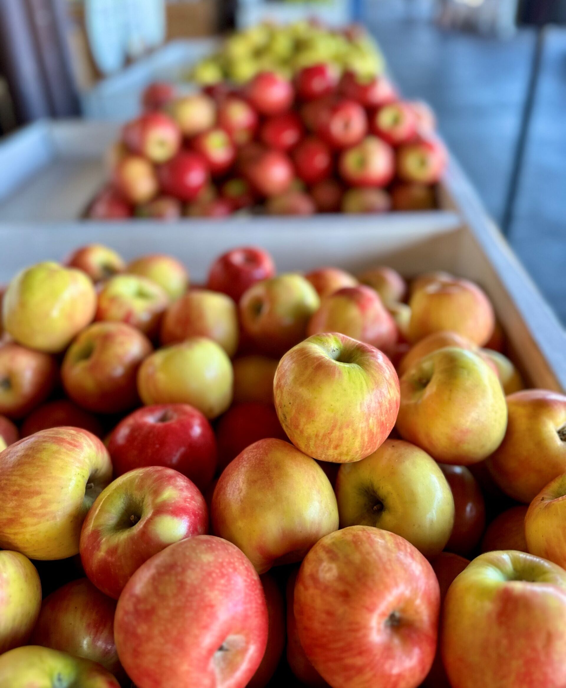 Lots of apples