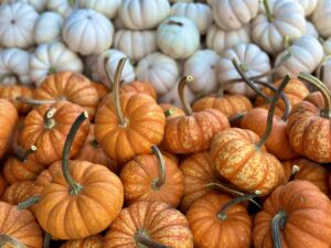 Little pumpkins