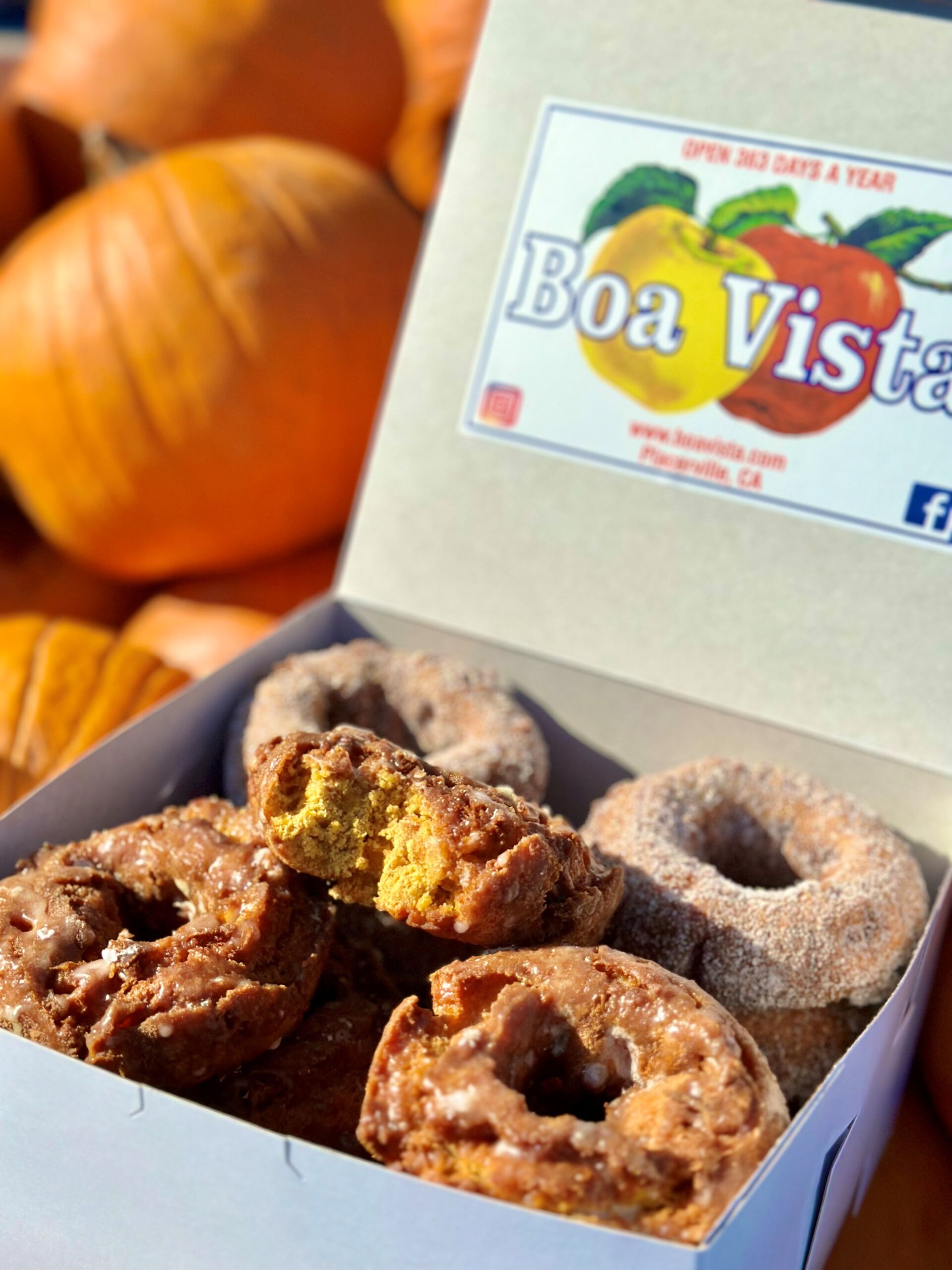 Pumpkins with a box of Boa Vista donuts on top