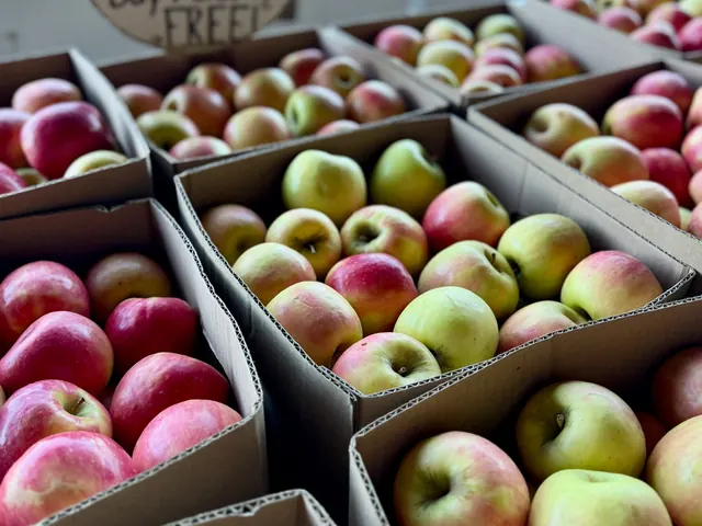 Boxes of apples