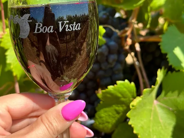 Hand holding a Boa Vista wine made in Apple Hill