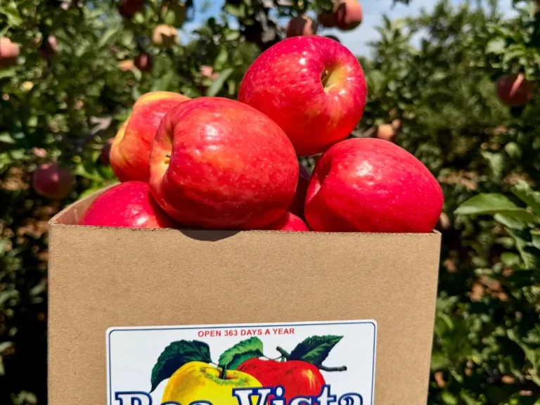 A box of apples from Apple Hill