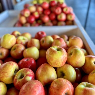 Lots of apples