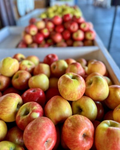 Lots of apples