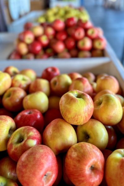 Lots of apples